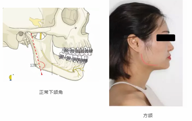 图片71.jpg