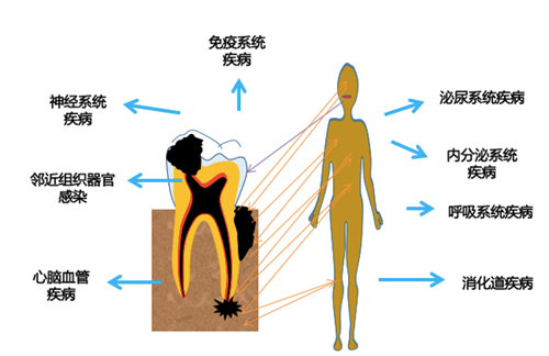 图片12.jpg